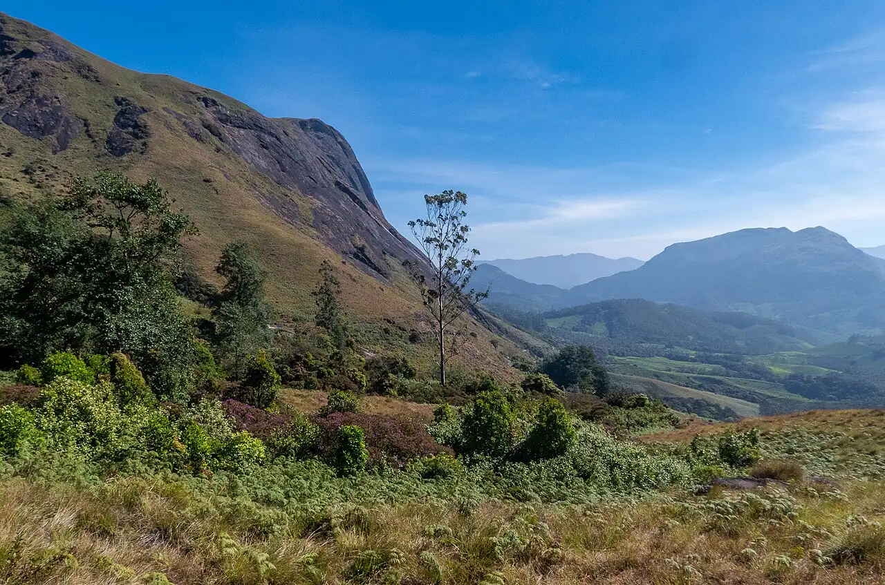 Misty green hills of Eravikulam National Park near Munnar